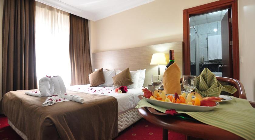 Hotel Buyuk Sahinler