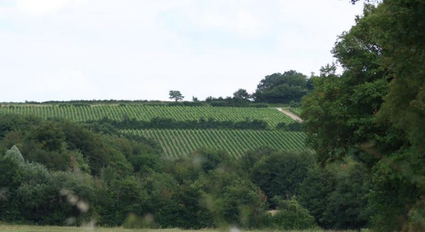 Chalet aux pied des vignes photo