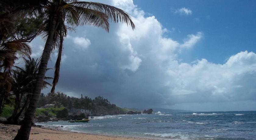 Ocean Ridge at Long Beach photo