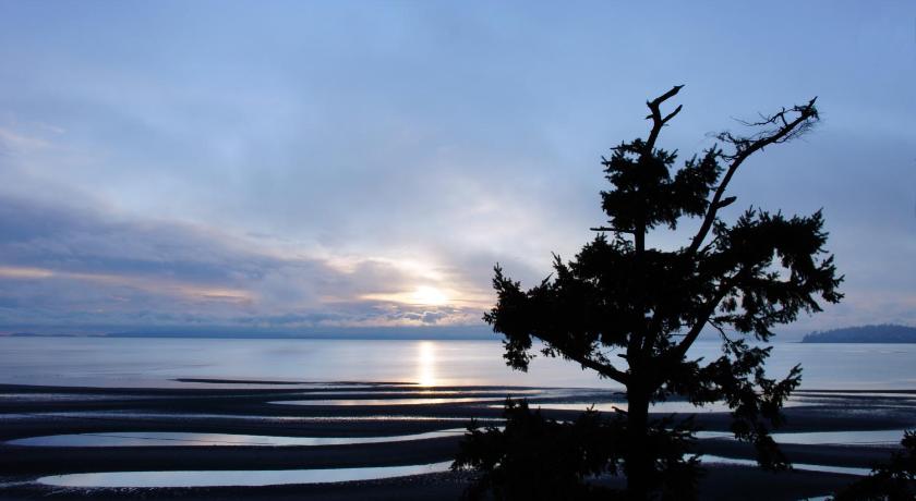 Raintree's Sandcastle, Birch Bay photo