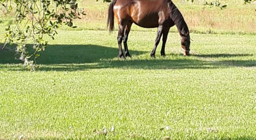 Kokomo Farms