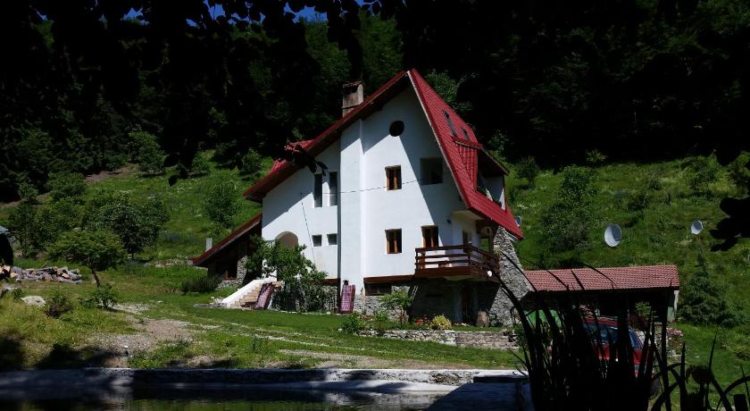 Pensiunea Vila Cerbul — Hotel in Godeanu