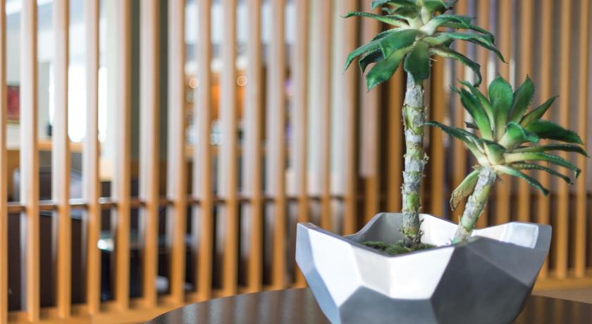 Vila Baleira – Hotel Resort & Thalasso Spa photo