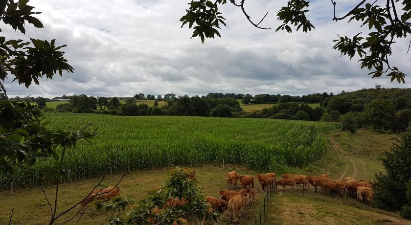 沙吕塞（利摩日） La THIBAUDIERE Tilleul 3星级 酒店 餐厅