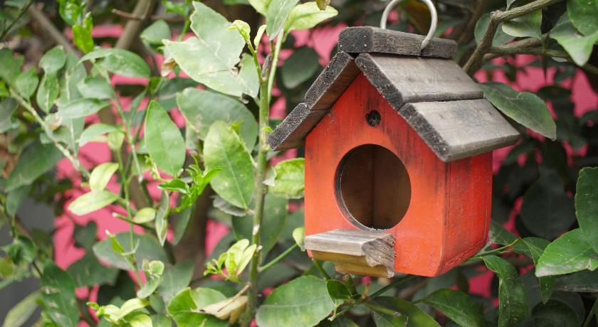 Colibri B&amp;B — Hotel in Mexico City