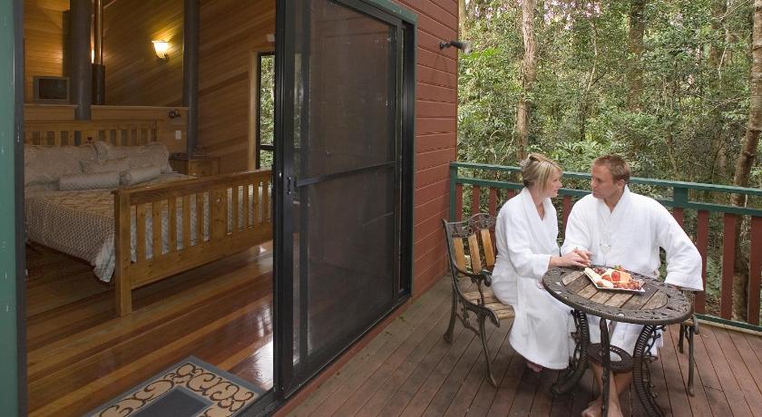 Springbrook Lyrebird Retreat photo