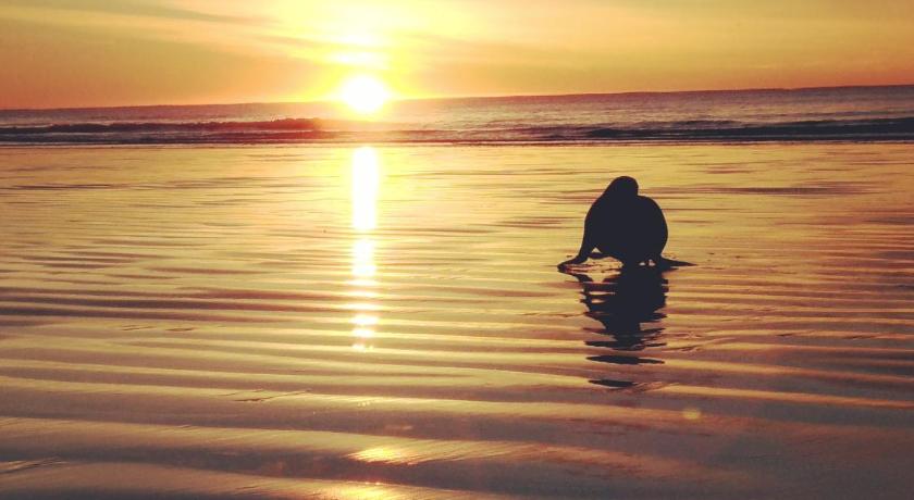 Seascape Accommodation photo