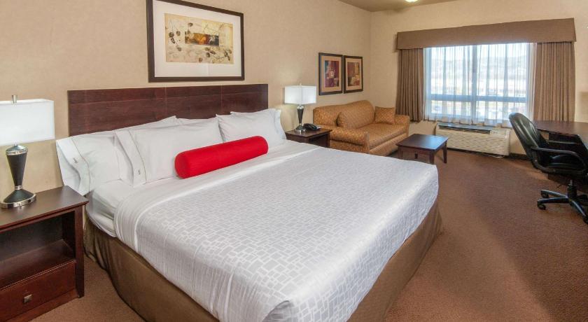 Ramada by Wyndham Drumheller Hotel & Suites