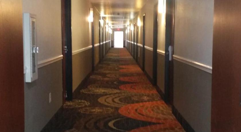 Quality Inn & Suites photo