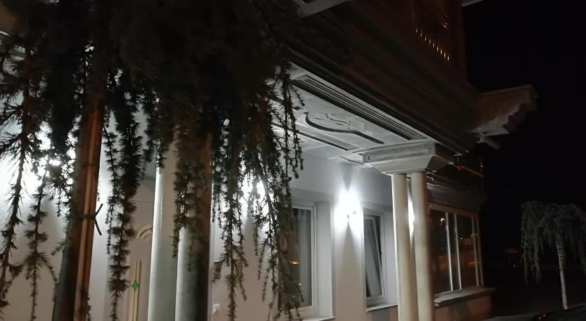 Vila Lemic Postojna photo