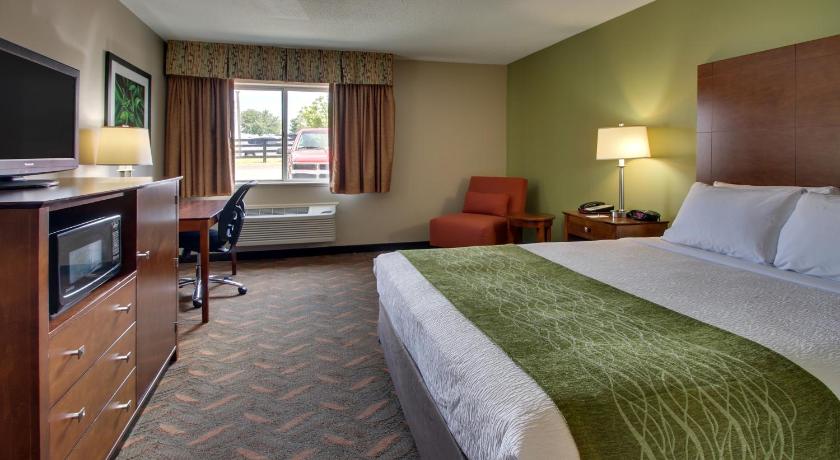 Wingfield Inn & Suites