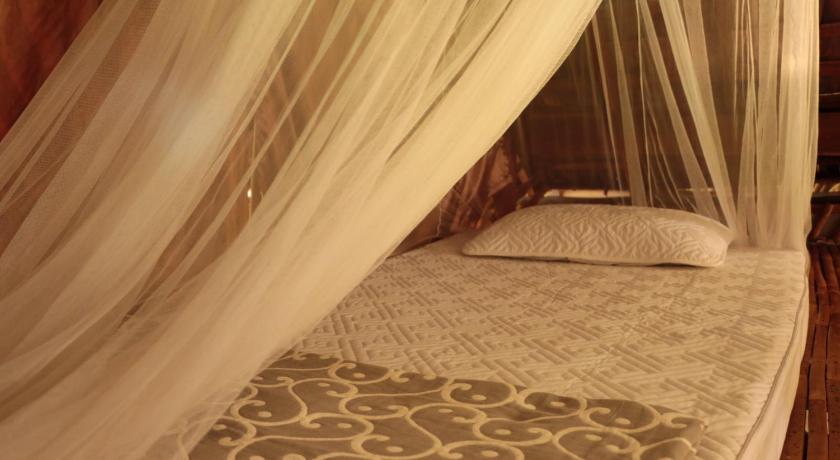 Image of 4-Bed Mixed Dormitory Room 4