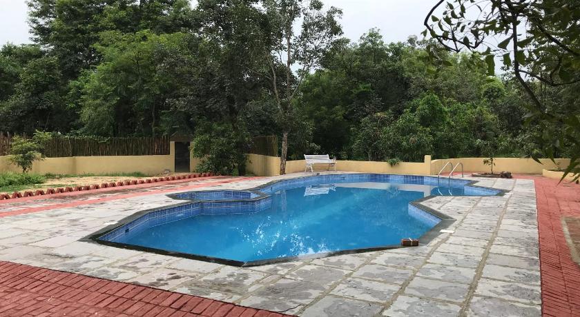 Baaz Jungle Resort photo