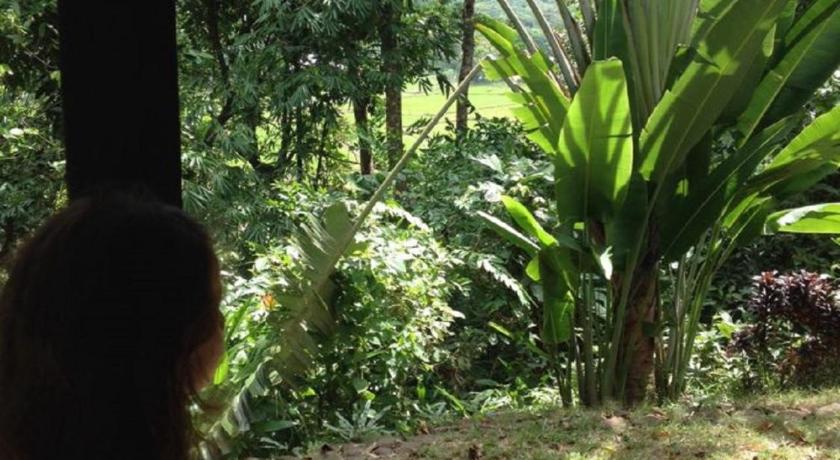 Image of Double Room with Extra Bed 5