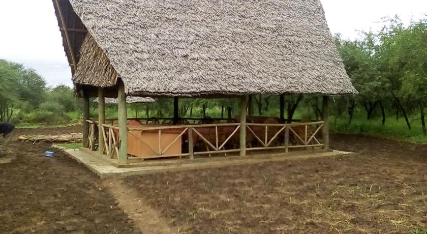 Mailua Retreat — Hotel in Amboseli