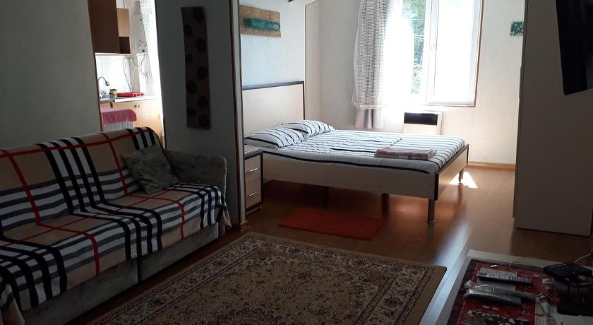 Apartment on Guramishvili Street 1