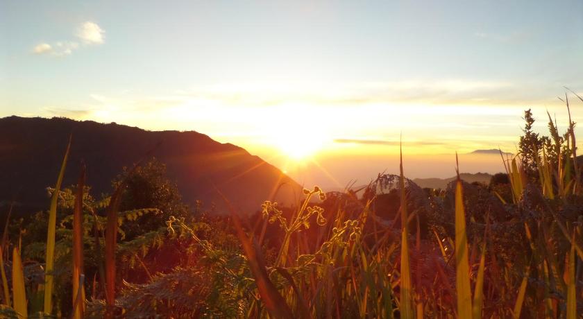 Hotel Bromo Permai