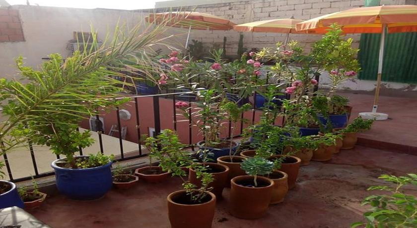 For You Hostel Marrakech photo
