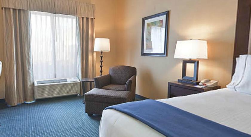 Holiday Inn Express Hotel & Suites - Novi