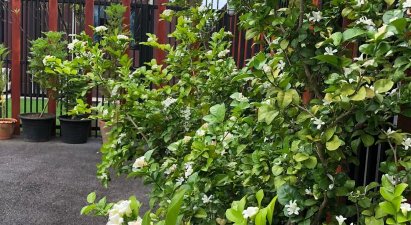 北碧 Thyme Xeriscape Hostel 2星级 酒店 客房