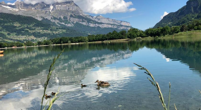 Le Moulin des Olirics