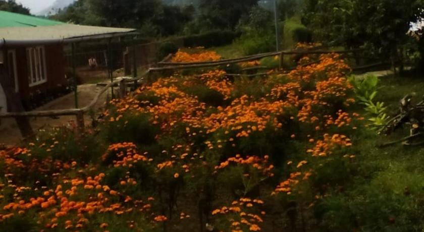 Vamoose Dilpali Homestay — Hotel in Mirik