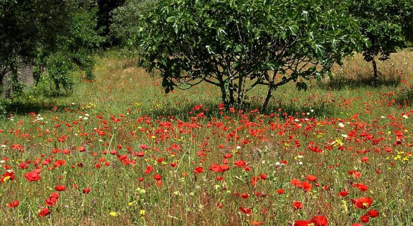 ロンダ La Casita de Piedra 5つ星 シングルルーム ロビー