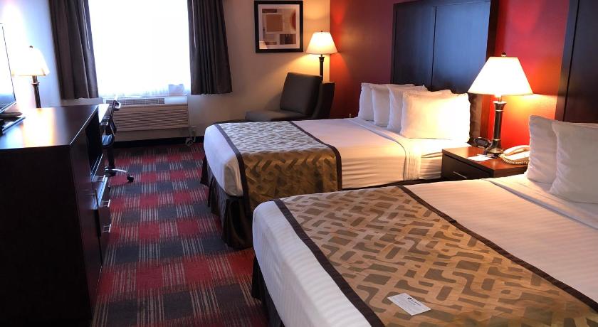 Best Western Dallas Inn and Suites