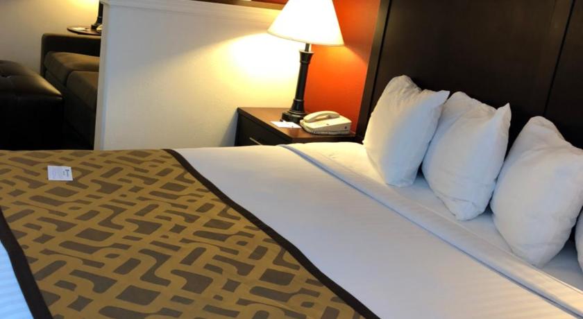 Best Western Dallas Inn and Suites