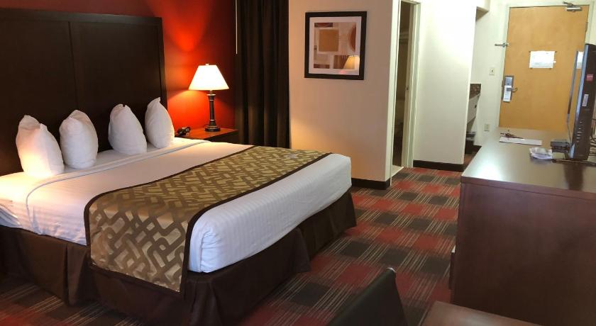 Best Western Dallas Inn and Suites