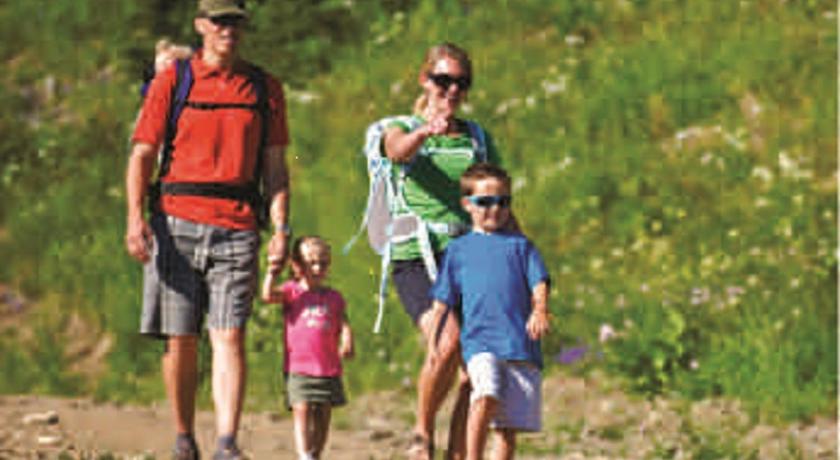 Cabins 4 Less No Fees 844 Tulip Lane 23 Big Bear Lake