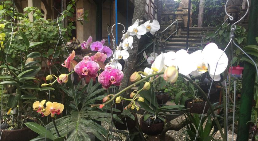 Tungeh Inn – Ubud, CO