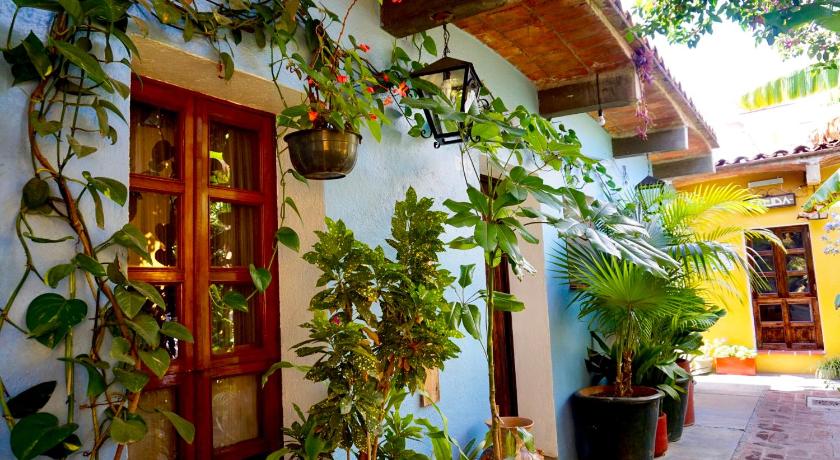 オアハカ Hotel Las Golondrinas 2つ星 ホテル プール