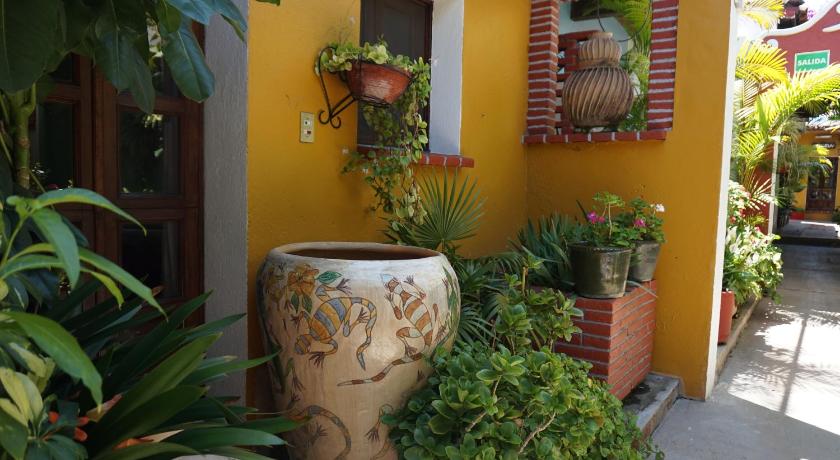 オアハカ Hotel Las Golondrinas 2つ星 ホテル レストラン