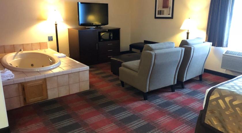 Best Western Dallas Inn and Suites