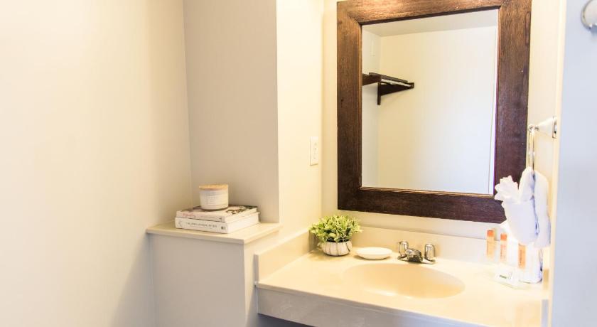 vineyard court designer suites hotel 1500 george bush vineyard court designer suites hotel college station tx 77840