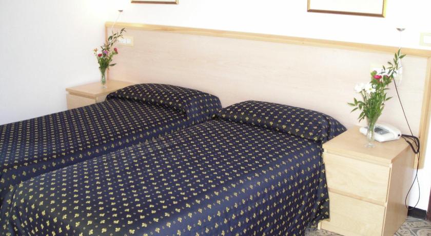 Hotel Delle Mimose photo