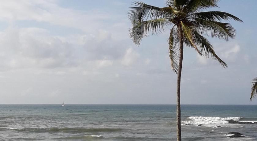 Salvador Surf Hostel photo