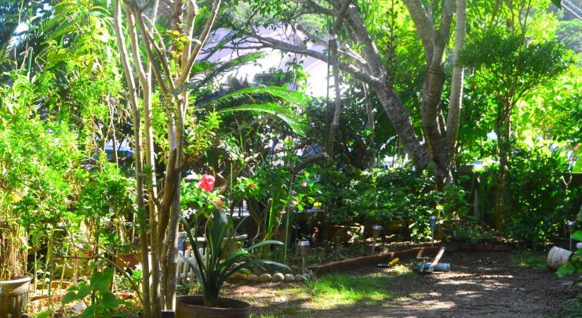 AMAMI-Green-Garden photo