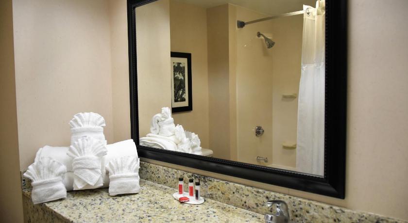 Image of 1 King Bed Deluxe Studio Suite Smoke Free 6