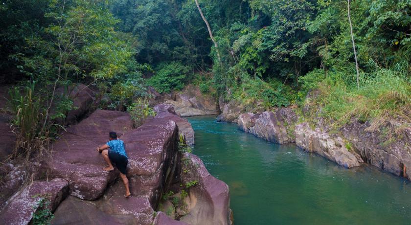 Jungle River Resort photo