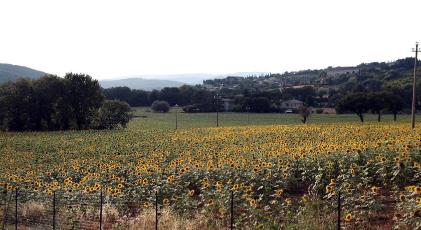 Il casolare Green House - image 5