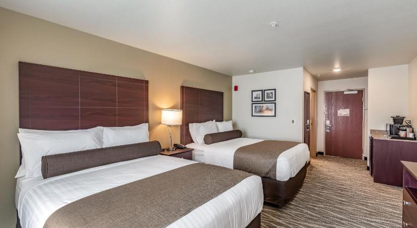 Cobblestone Hotel & Suites - Hartford