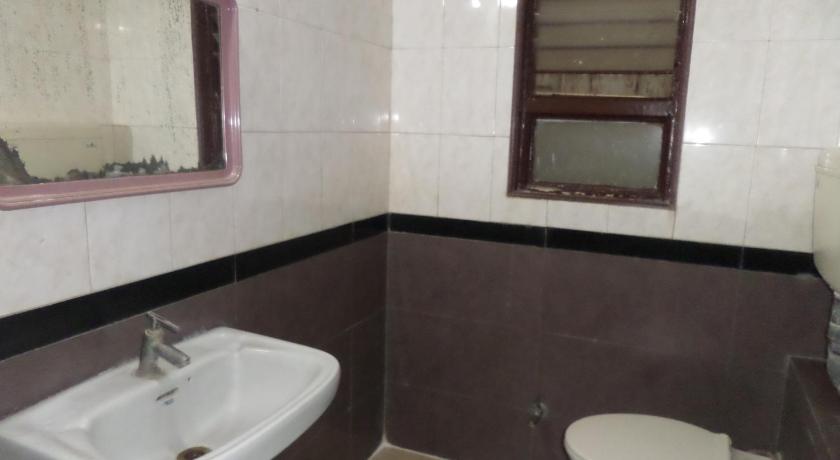 Hotel Padma photo