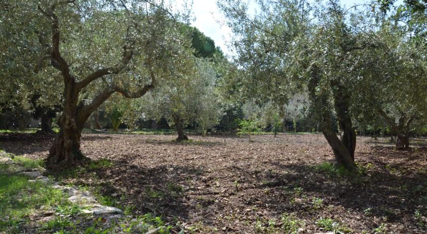 Villa Alchea Locazione Turistica photo