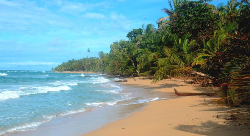 El Jardin de Playa Negra photo