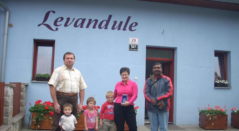 Levandule photo