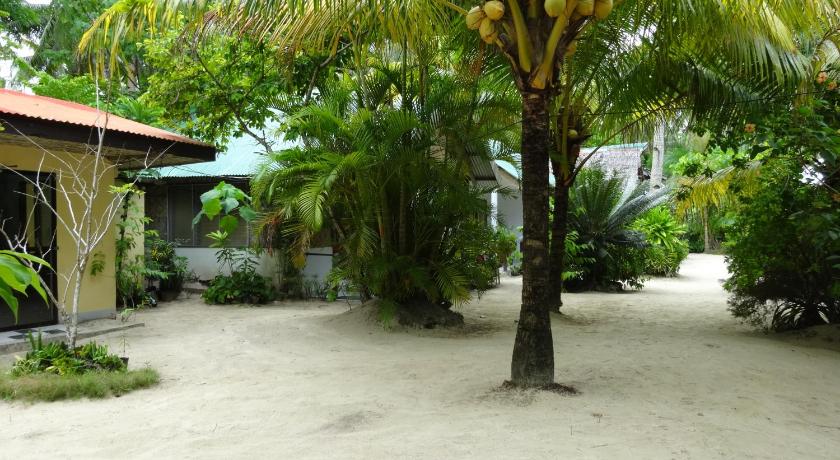 a palm tree in front of a palm tree house, Jadestar Lodge in Siargao Island