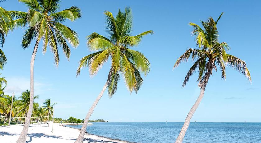 a beach with palm trees and palm trees, Parrot Key Hotel & Villas in Key West (FL)
