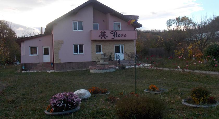 Casa Floro — Hotel in Comănești